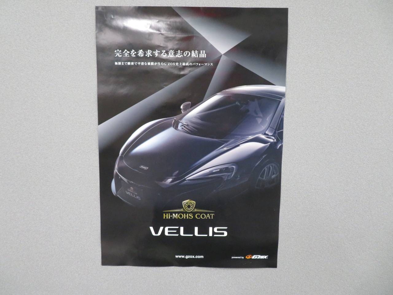 ハイモースコート　ヴェリス　登場！